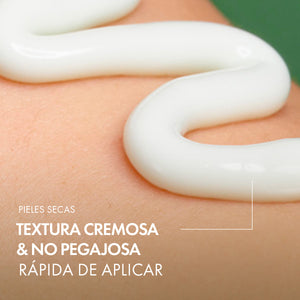 Dúo Crema Hydra-Perfecting L'Or Végétal