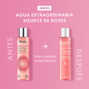 Agua extraordinaria Source de Roses